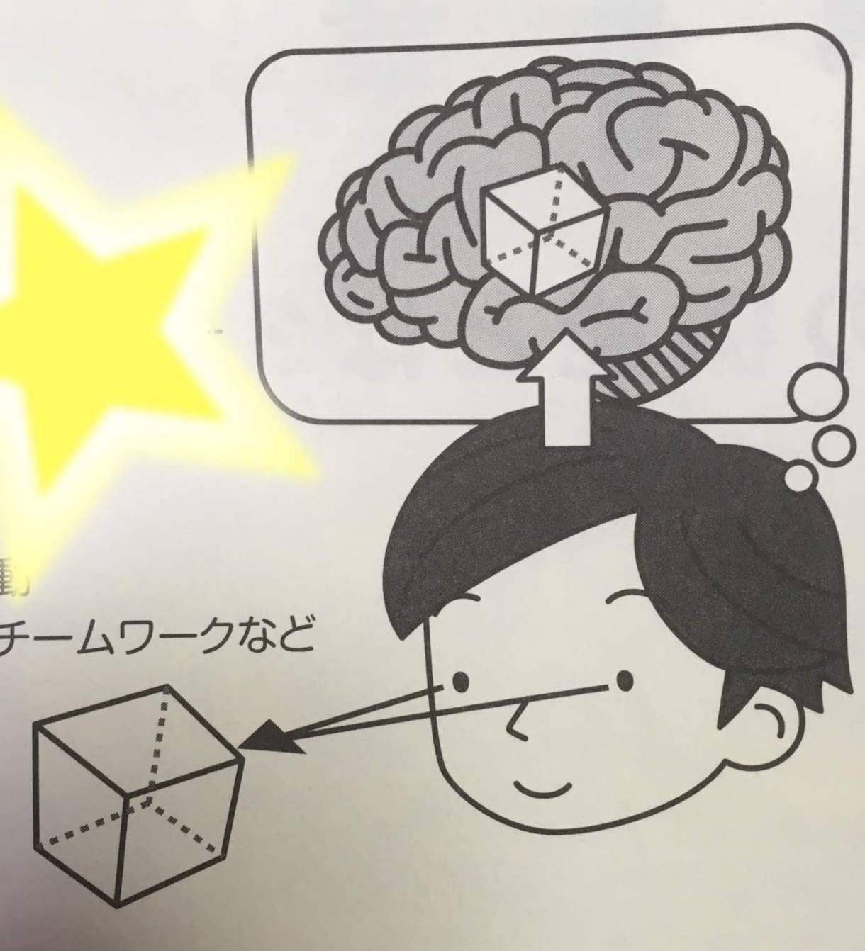 目(入力機能)が鍛えられると脳(視空間認知力)や体(出力機能)までレベルアップしてきます。